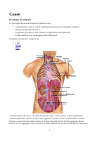 Cuore.pdf